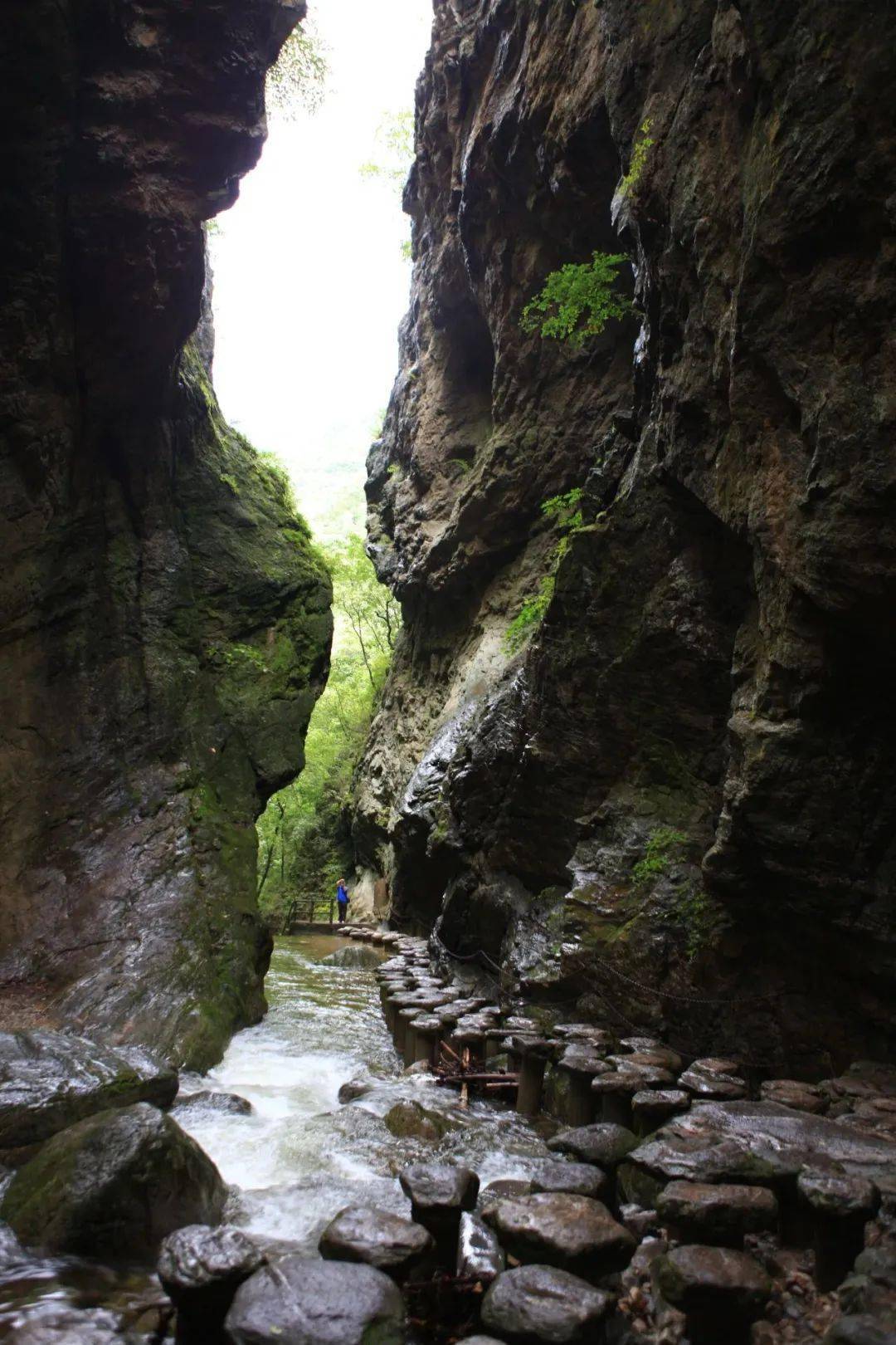 人民日报 | 商洛市柞水县朱家湾村——青瓦土墙 溪水潺潺(走进传统
