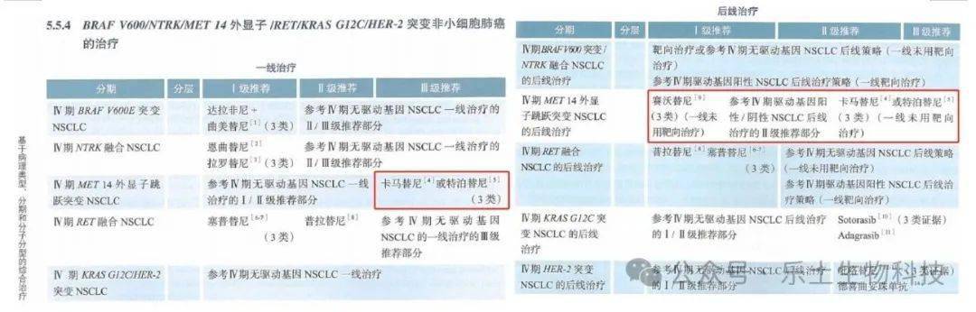 nsclc的csco指南2023版對於met 14跳躍突變陽性晚期患者的一線治療