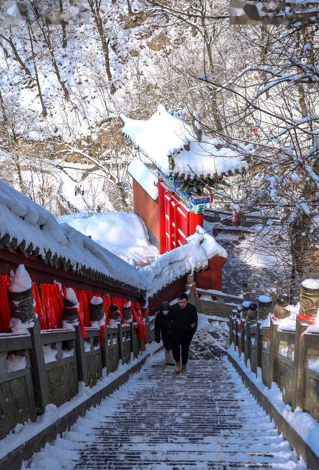 阳山威灵殿雪景图片