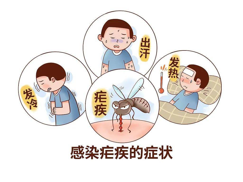 图源:视觉中国如果不在24小时内予以治疗,恶性疟可能发展成重症疟疾