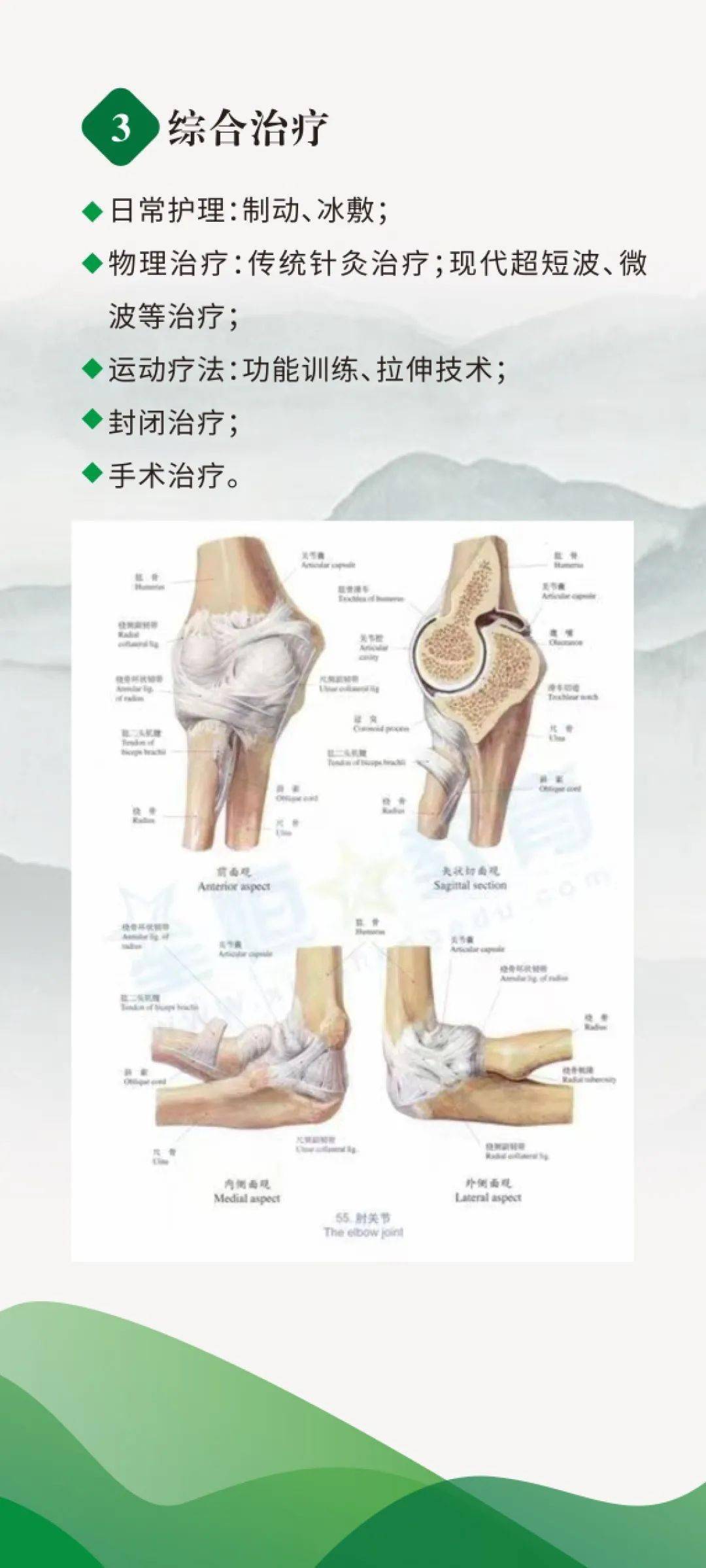 肘關節損傷處理肘關節由肱尺關節,肱橈關節和橈尺近側關節組繕.