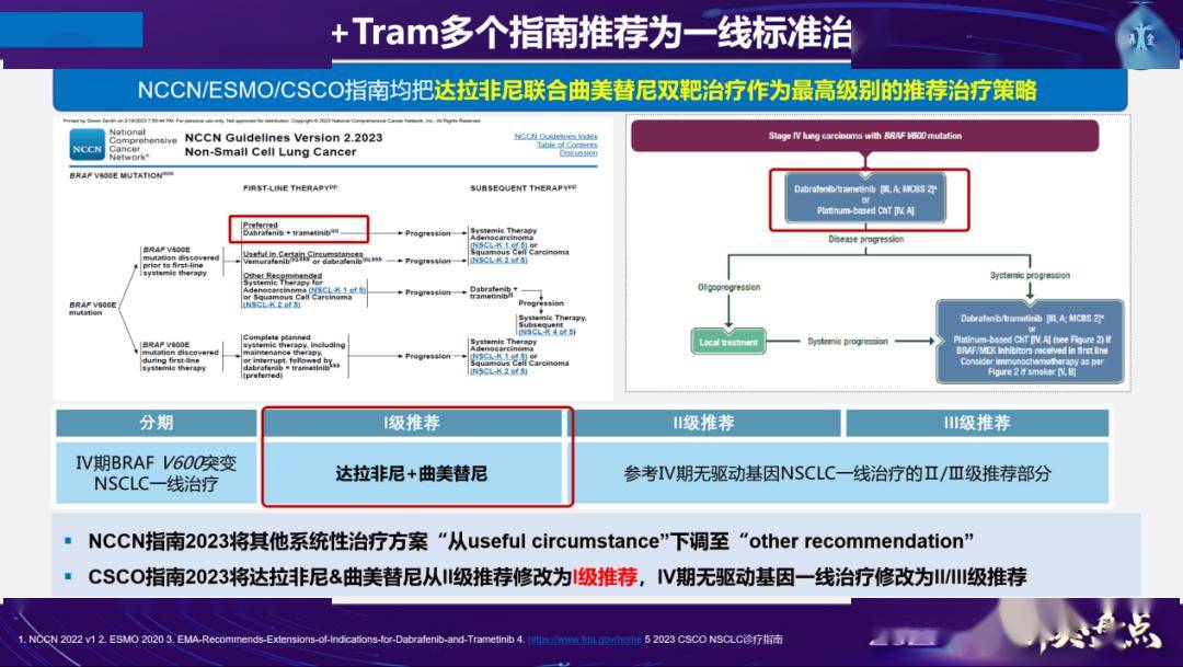 圖 13:達拉非尼 曲美替尼獲國內外指南一致推薦用於 braf 突變