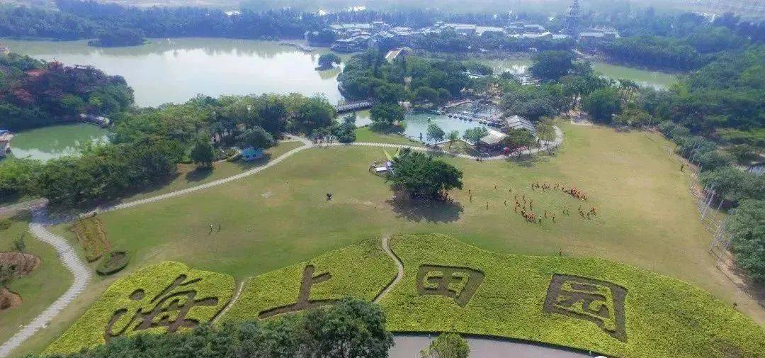 图片来源:微信公众号"深圳旅游"海上田园景区是国家aaaa级旅游景区该