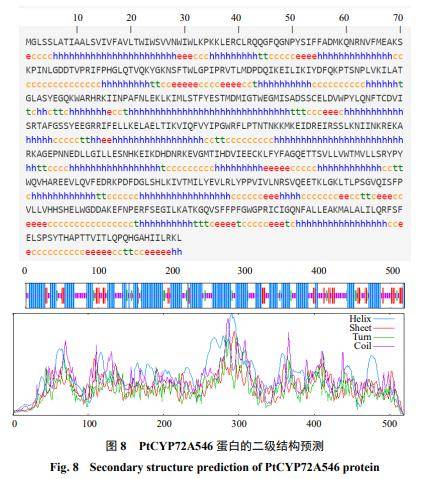 結構及分析使用swiss-model在線軟件預測分析ptcyp72a546蛋白三維結構
