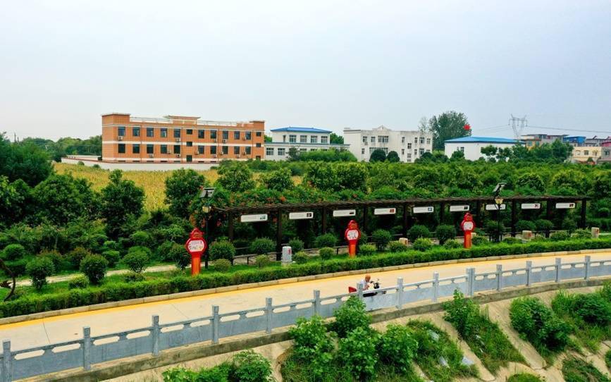 方城县清河镇:坚持走绿色发展之路 全面提升乡村"颜值"_建设_治理