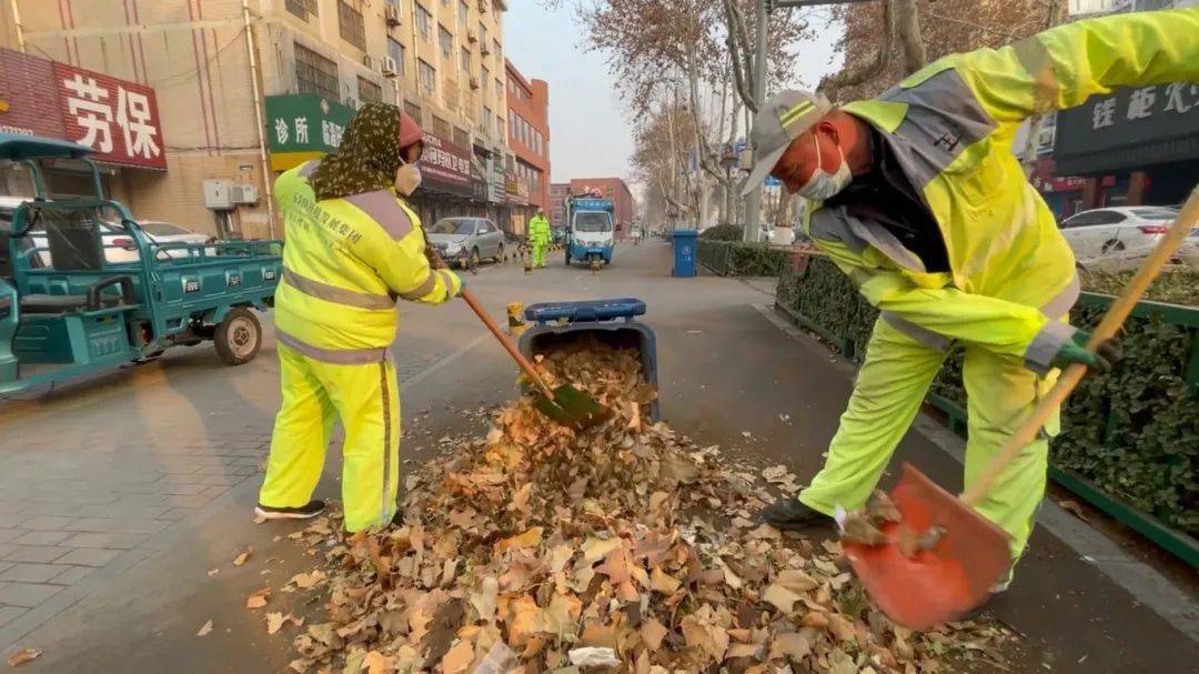 涉及大顺路,齐兴路,牛山路,临淄大道……_绿化带_环卫_城区