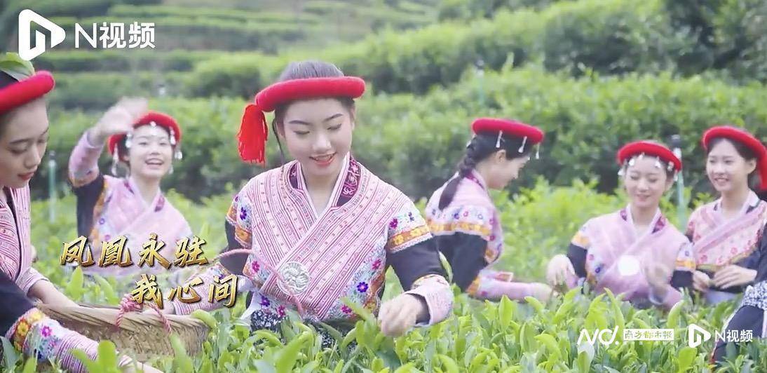 听!那是潮州凤凰山里畲族的"中国梦"