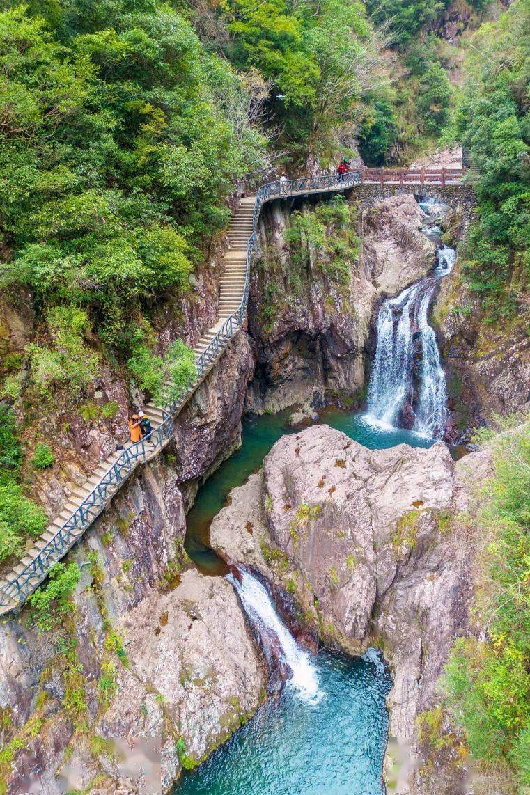 寻龙记 雁荡山的"水龙,大罗山的"石龙…你知道温州还有哪些"龙