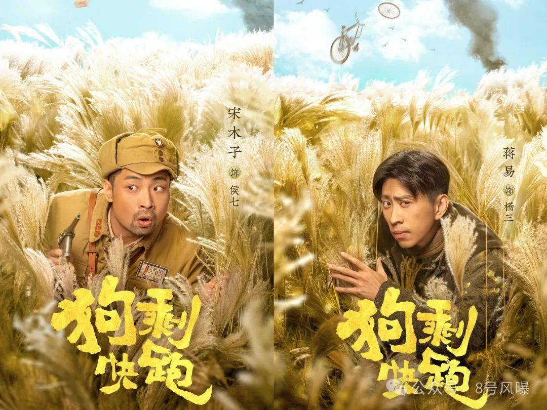 狗剩和番号之间,隔着10个葛二蛋_王毛_网友_观众