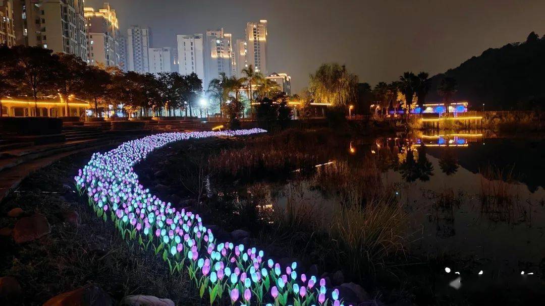 宁德市区金溪公园夜景美如画……_金涵_内容_改造