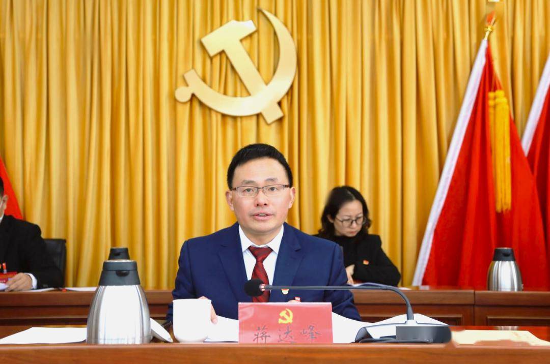 蒋达峰在区纪委十三届四次全会上做工作报告_丰台_现代化_革命