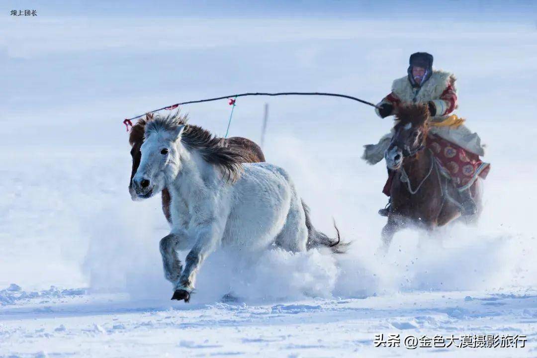 走蔗巷—曬大豬—永福櫻花—田螺坑土樓7日攝影遊(點擊查看)活動時間