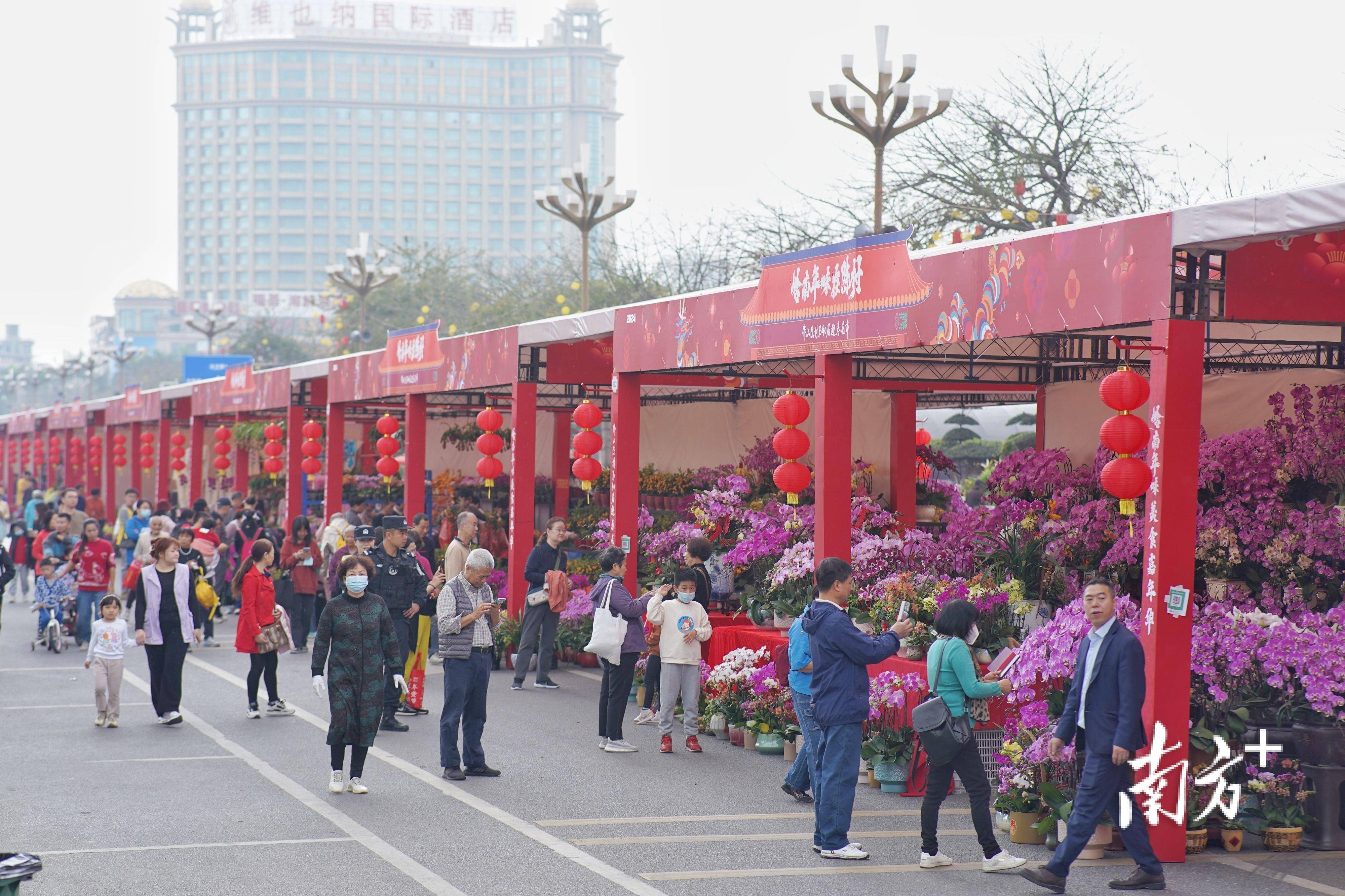 顺德陈村花卉批发市场图片