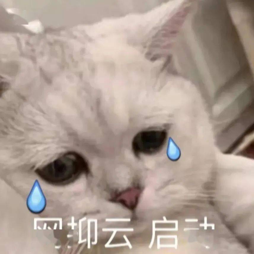 搞笑表情包:我亲爱的运动搭子_公众_il_熊猫头