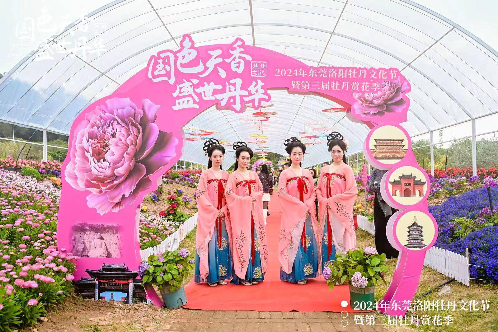 2024年东莞洛阳牡丹文化节暨第三届牡丹赏花季活动开幕_旅游_百花园