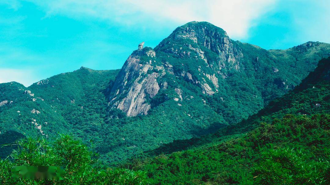 【一分钟看镇村】飞阅新墟镇_建设_东水山_森林