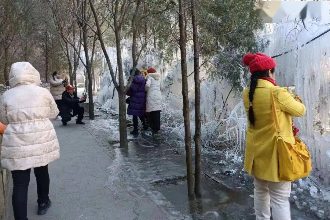 安排!_景区_滑雪场_函谷关