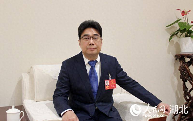 湖北省人大代表,武汉市青山区委副书记,区人民政府区长沈涛.