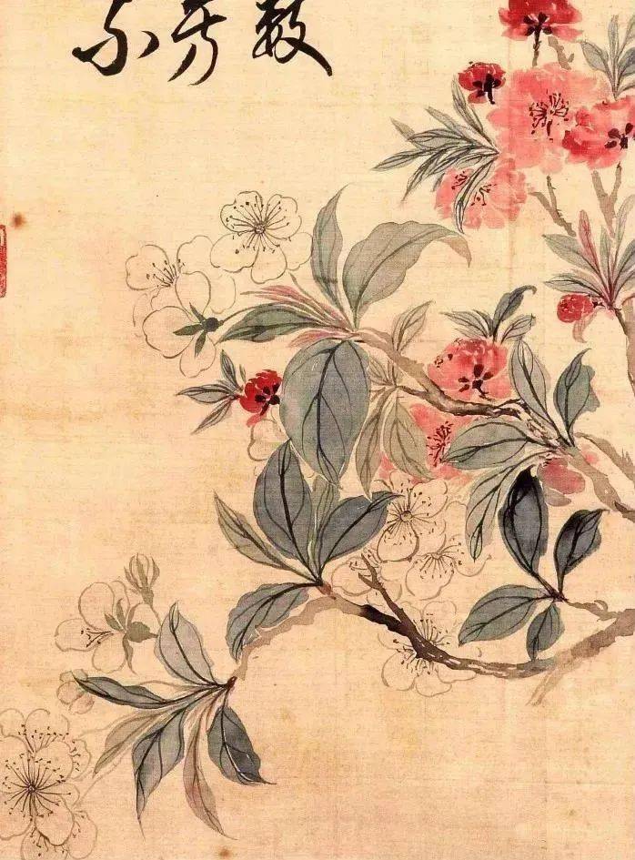 古今名家画梨花，优雅芬芳！_小鸟_赵少昂_恽寿平