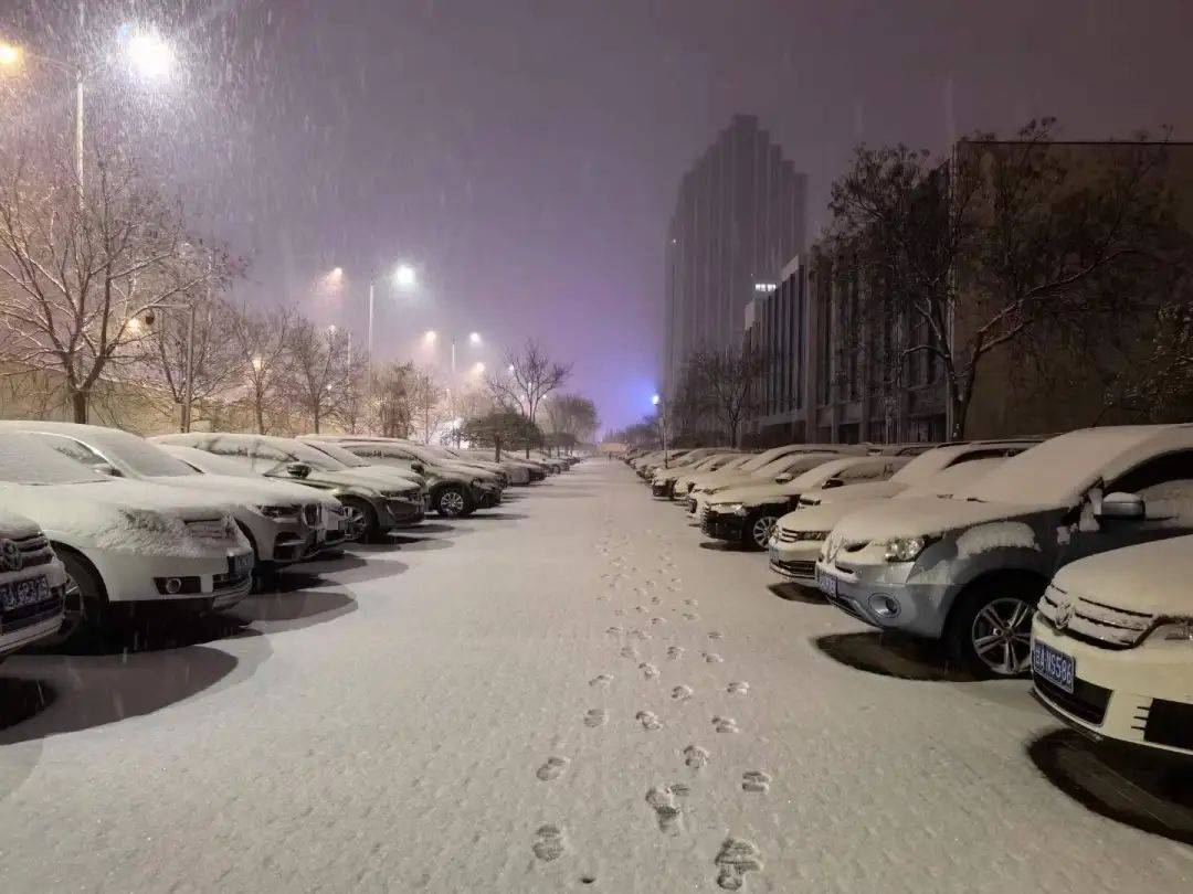 兰州下雪图片真实图片