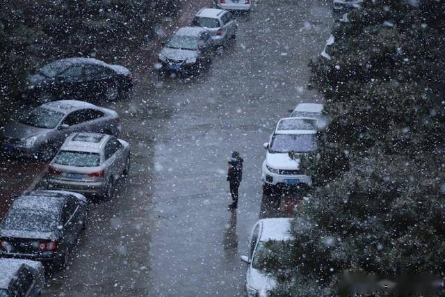 4,大寒末尾雨雪霏,明年又是丰收年大寒末尾就是大寒节气即将结束之