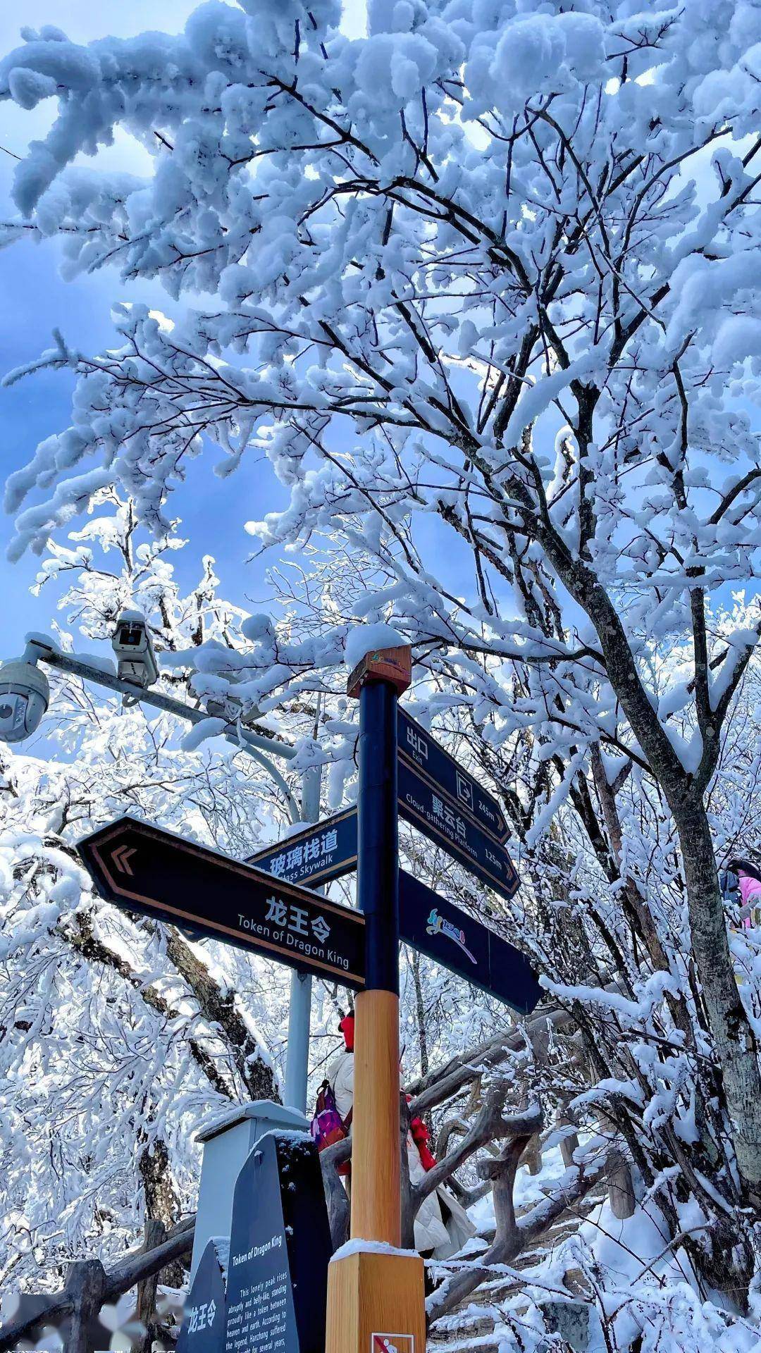 观看龙头山雪景图片