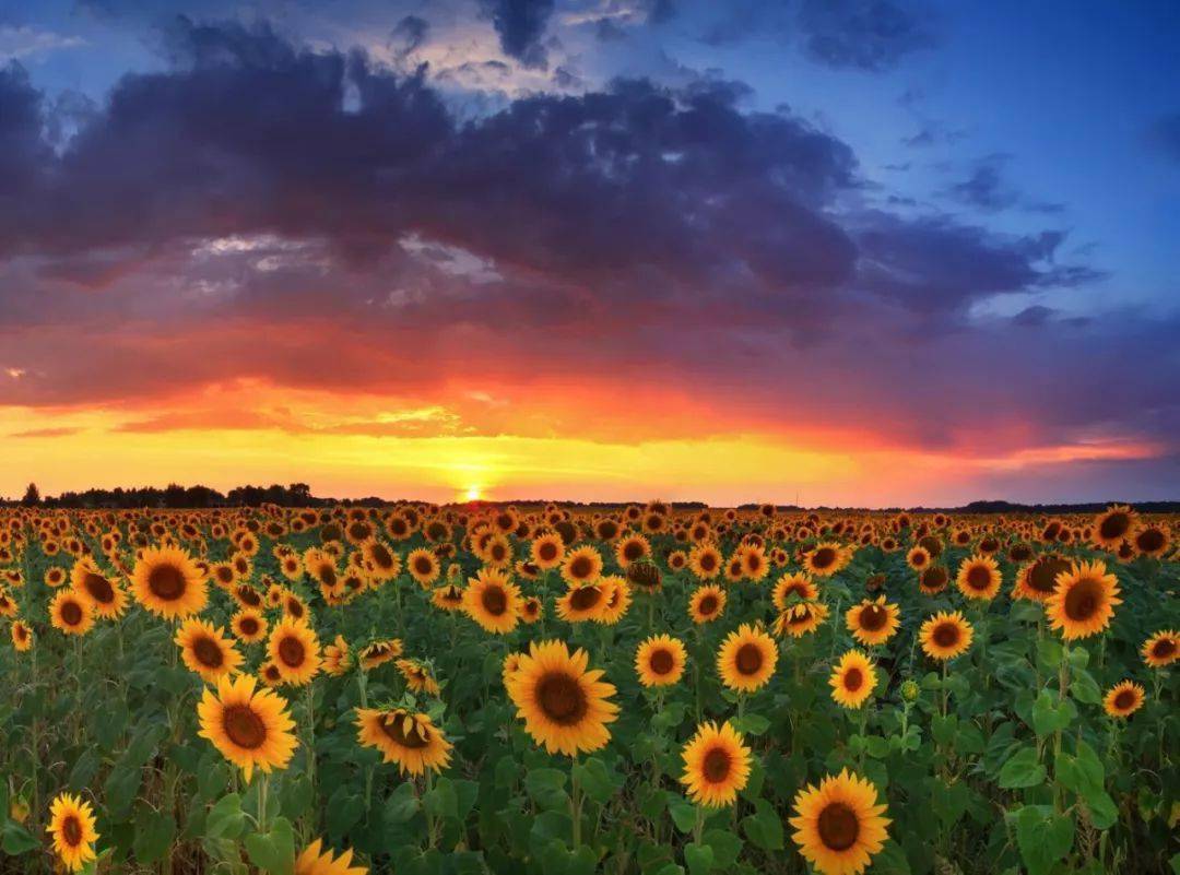 7种效果,让你拍出最美的日出,日落风景照片!_太阳_天空_光线