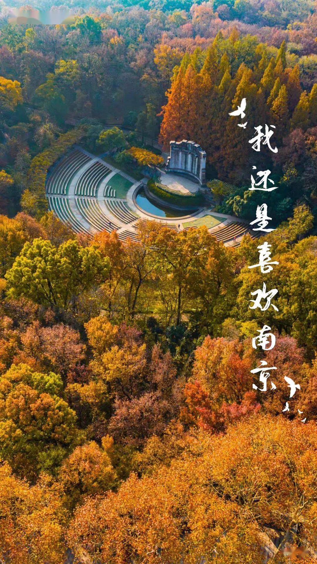 我还是喜欢南京#_金陵_风景_视频