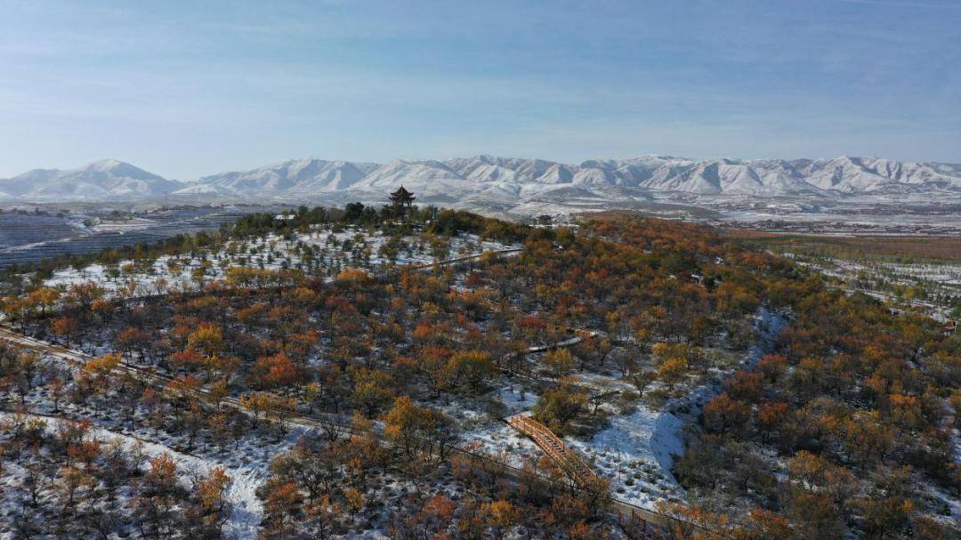 中衛又有一條旅遊線路榮登國家榜!_鄉村_文化