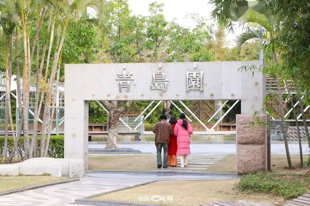 电瓶车_带着_get