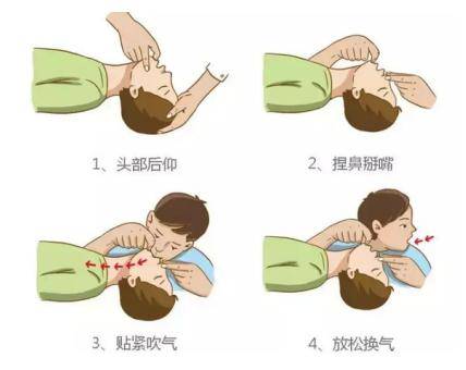 ⑤胸外心脏按压⑥开放气道⑦口对口人工呼吸⑧重新评估呼吸和循环安全