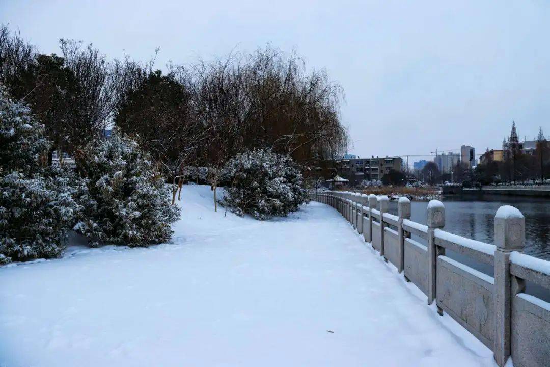 美好泗縣 瑞雪普降泗州城|寒假怎麼過?他們這樣做