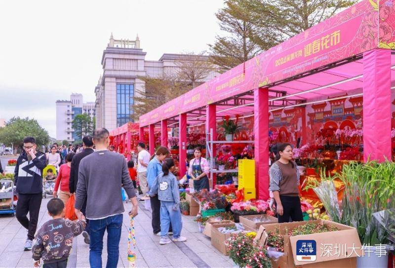 深圳最大花卉市场图片