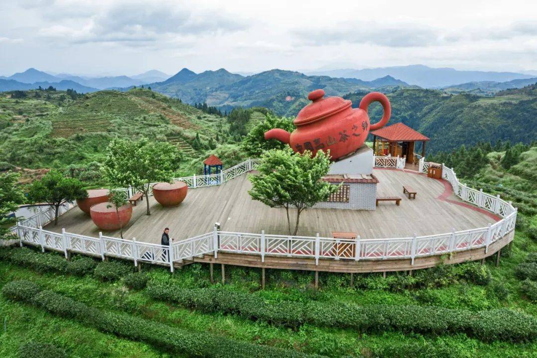 大田仙居山樱花盛放!品茶,赏樱,快来感受春日美好!_旅游_福建_中国