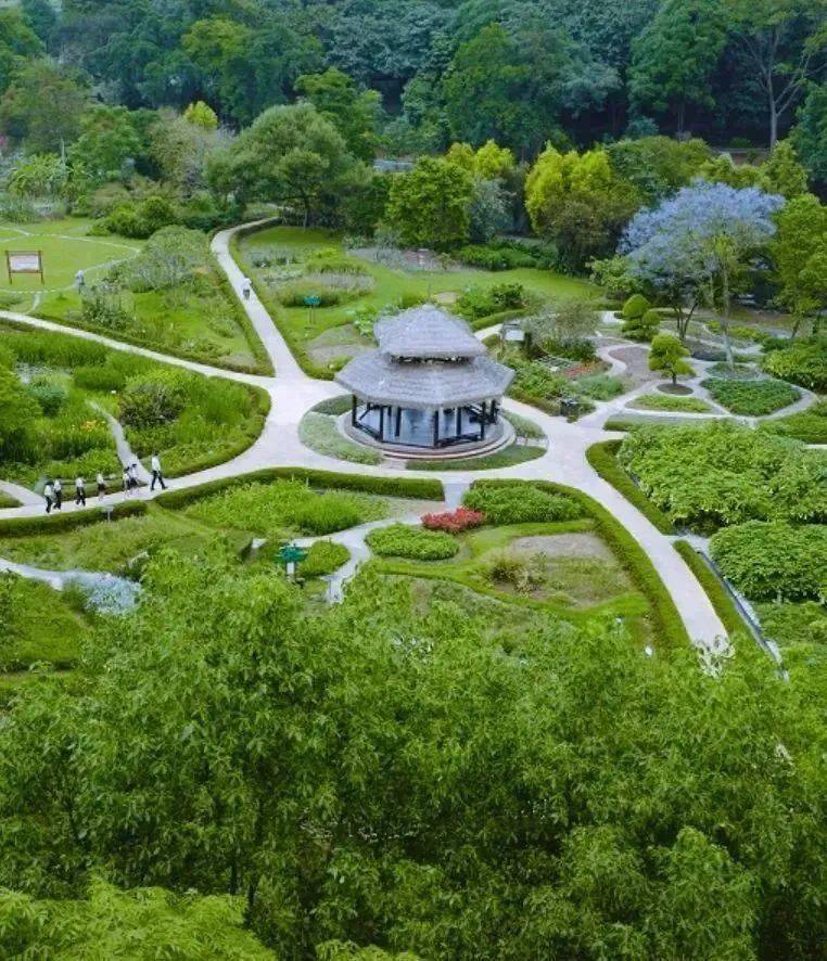 南宁药用植物园闹鬼图片