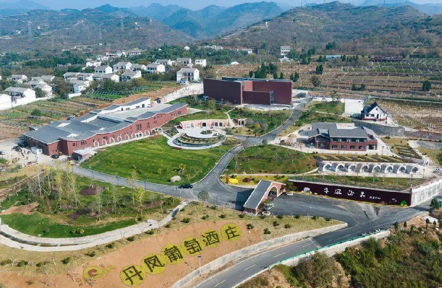 丹凤葡萄酒荣获"中华老字号"称号_酒庄_酿造_中国