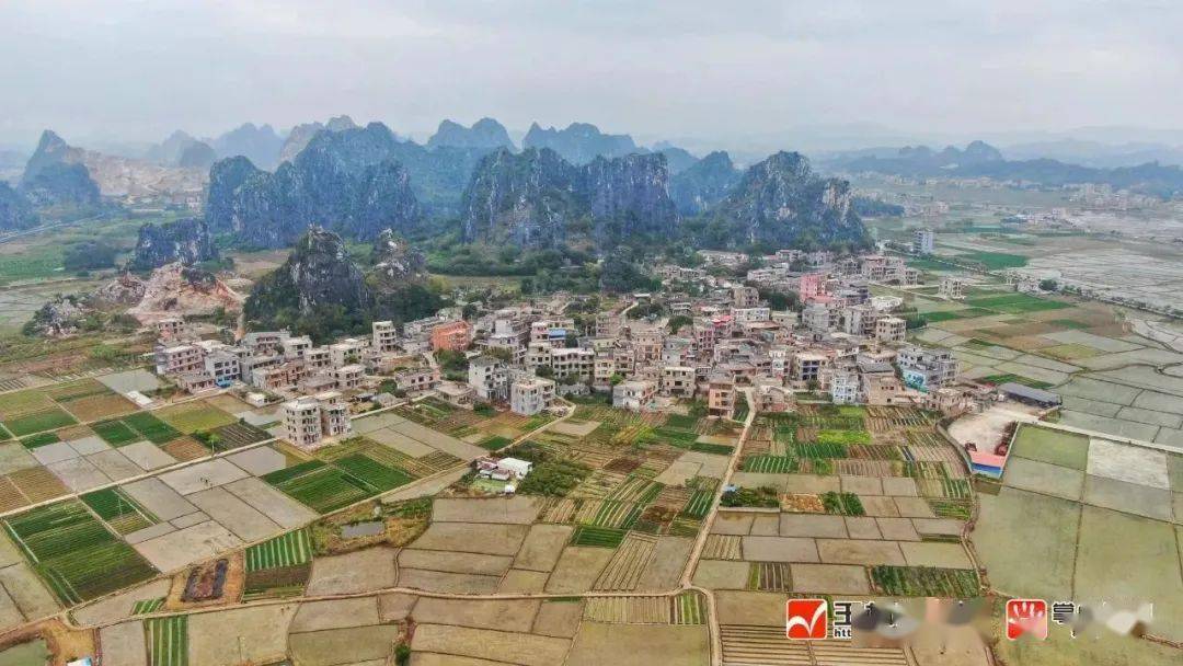 美翻了我的村93丨玉林市陆川县珊罗镇田龙村:立足村域实际 改善百姓