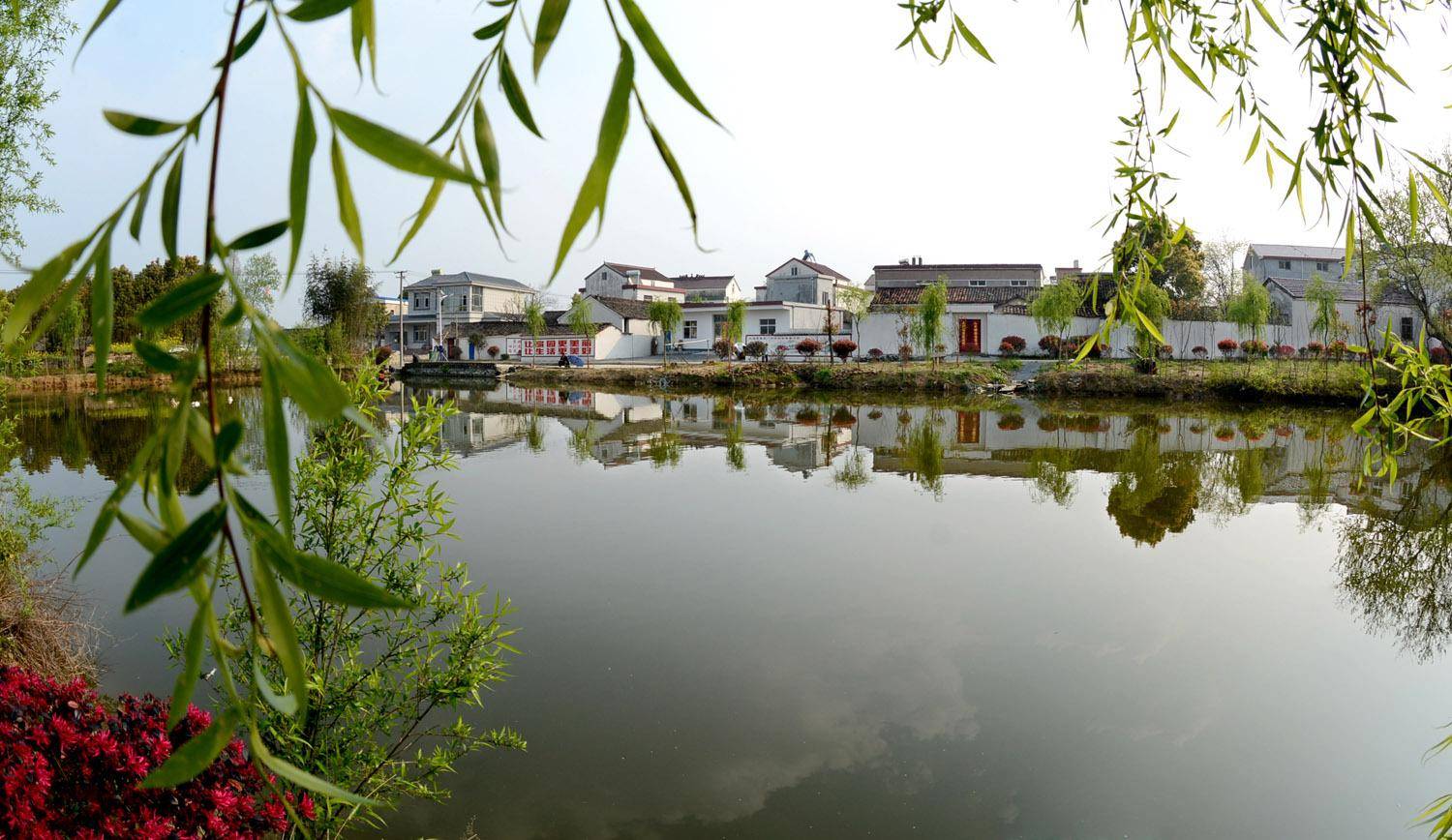 安徽桐城:"洁""净"全力 擦亮和美乡村幸福底色_群众_村民_整治