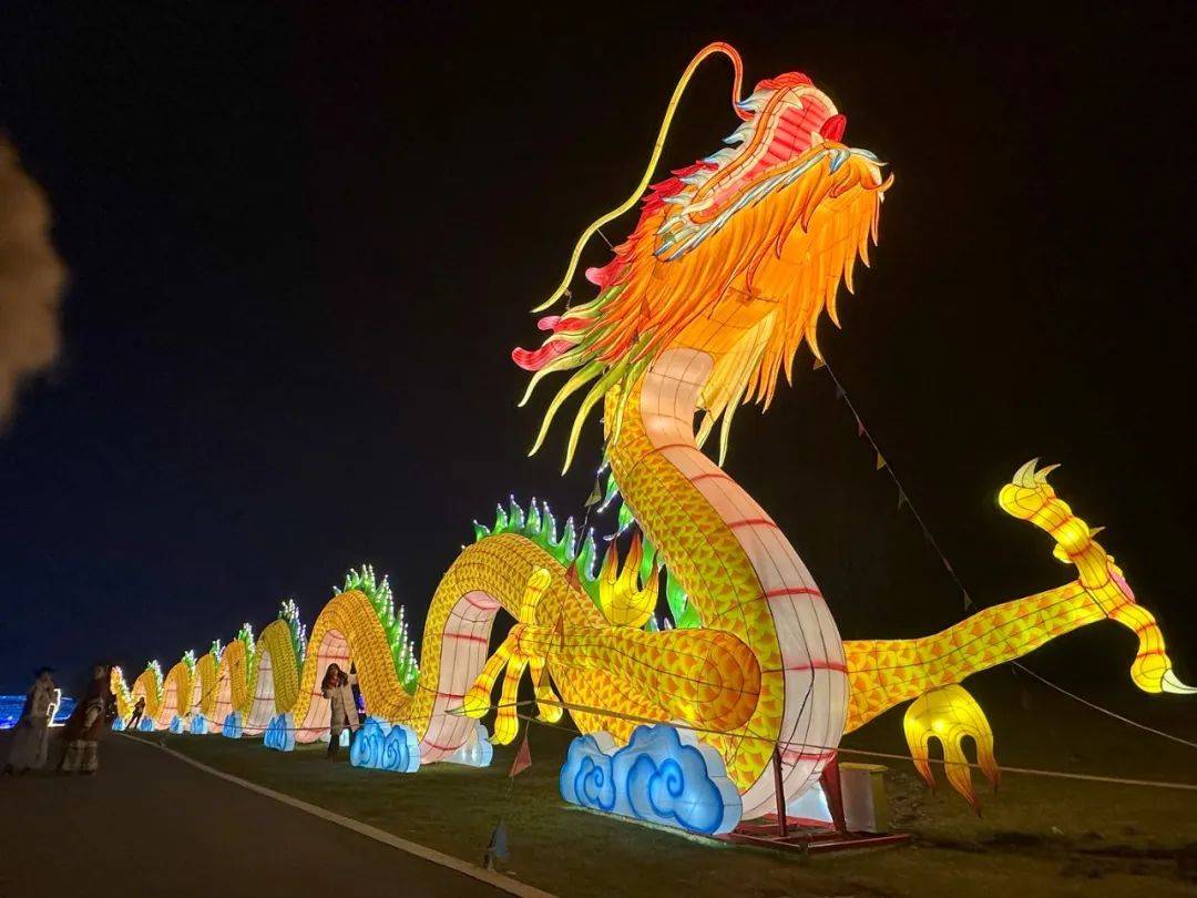 咱们有一整套十二生肖花灯沿路伫立不管你属啥都可以去合影打卡唐杉
