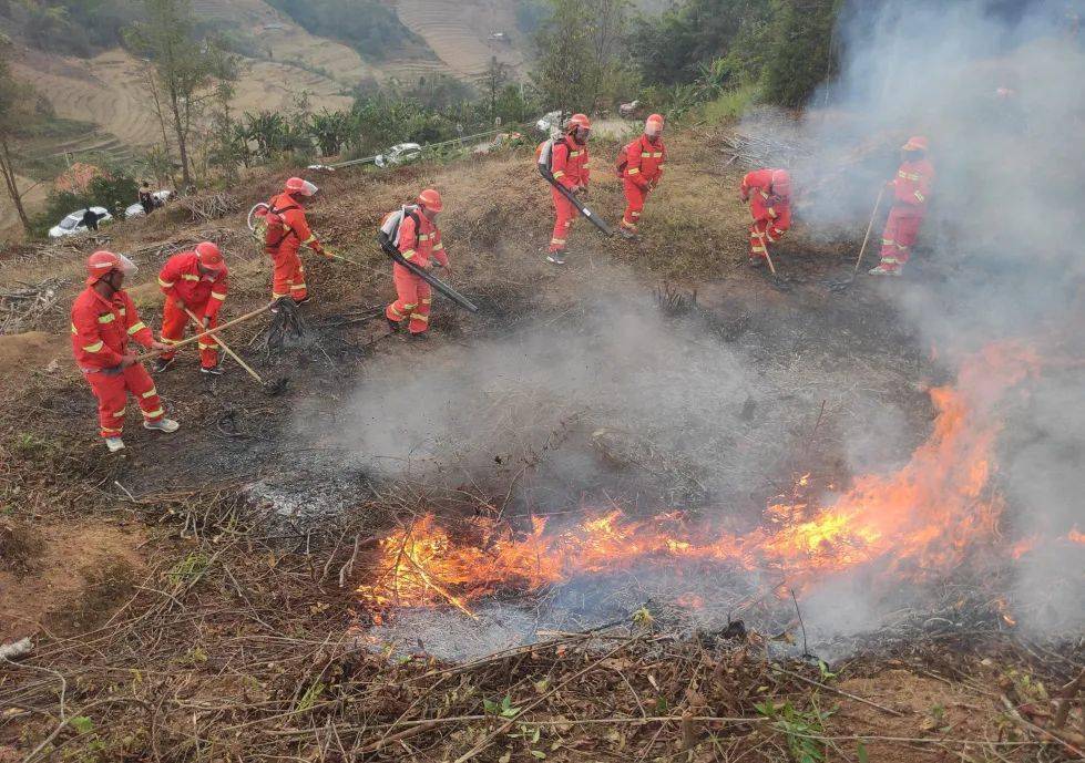 【安全生产】澜沧县各乡镇开展森林草原防火演练,培训,督查等工作