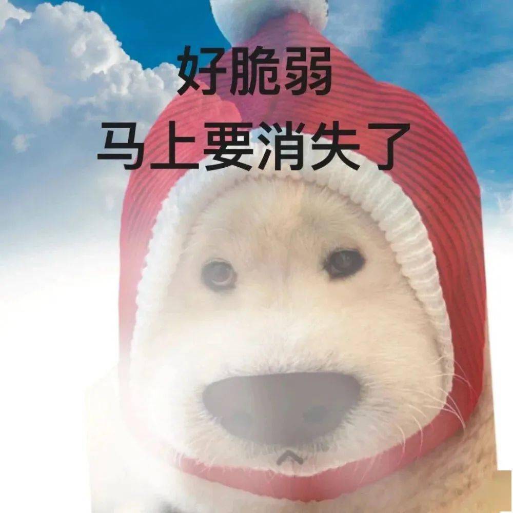 头像表情包108_侵权_商业用途_网络