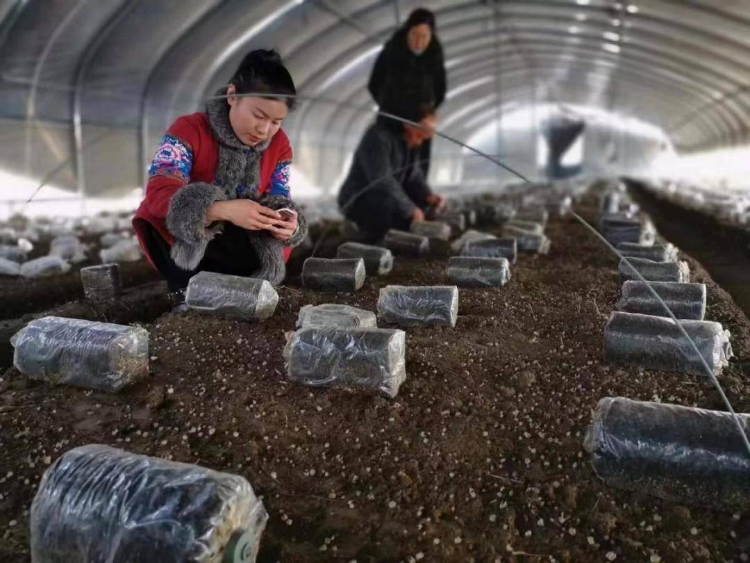 从0→全国最大基地,亏损六百万→户年均增收3万元,这"