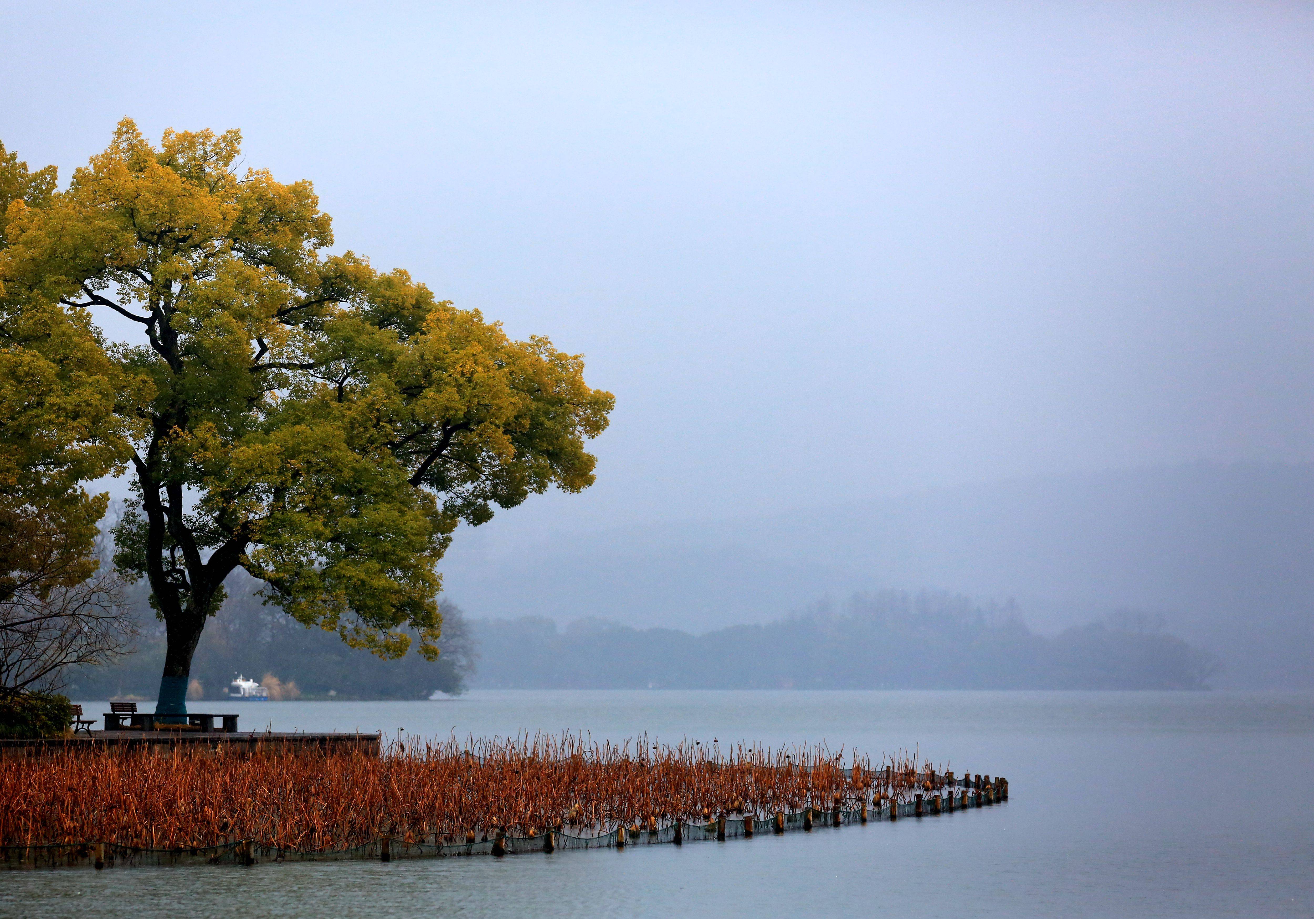 浙江杭州:江南烟雨 西湖春早