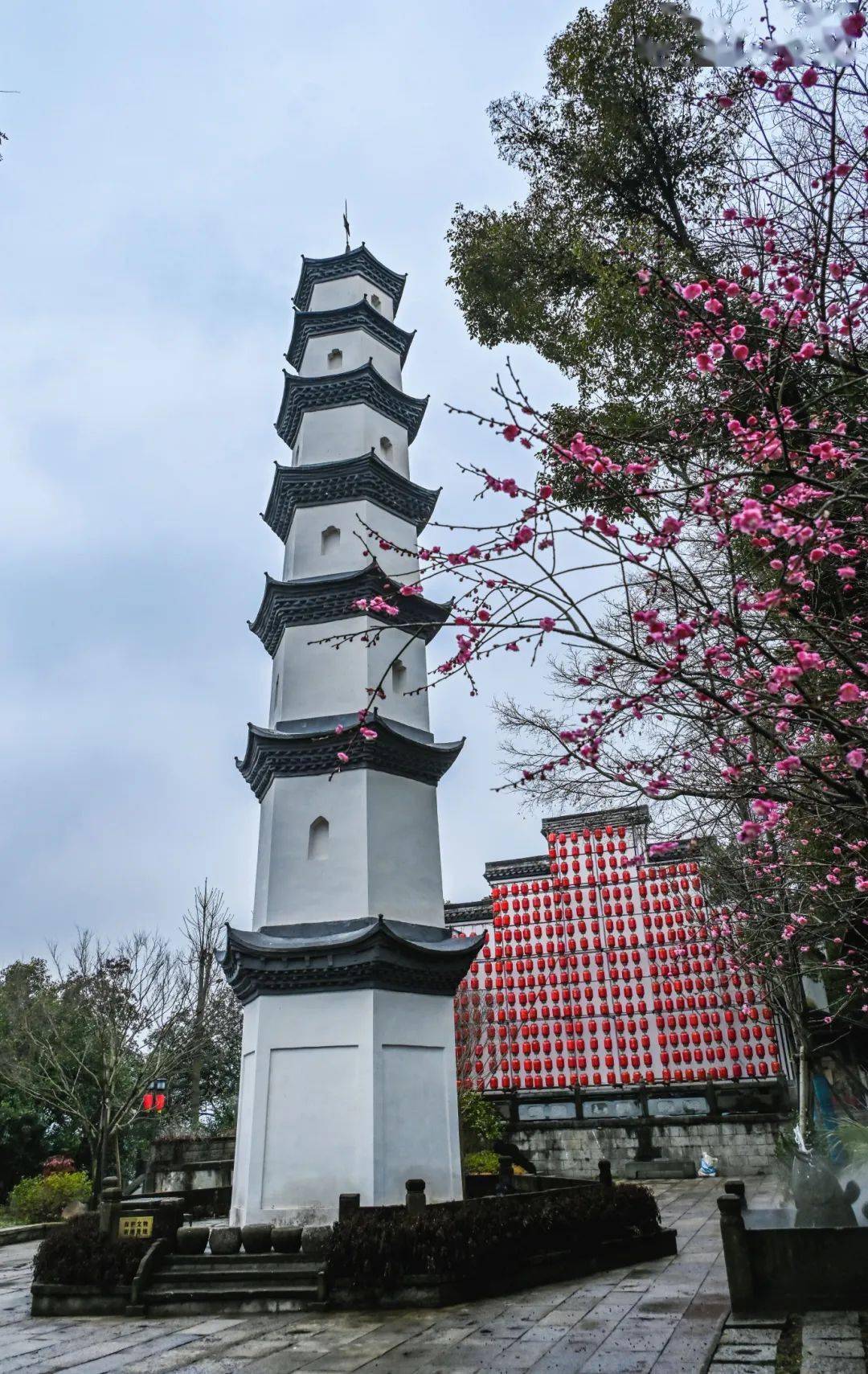 春节期间,桐庐天气如何?戳进来看→_气温_春运_雨雪