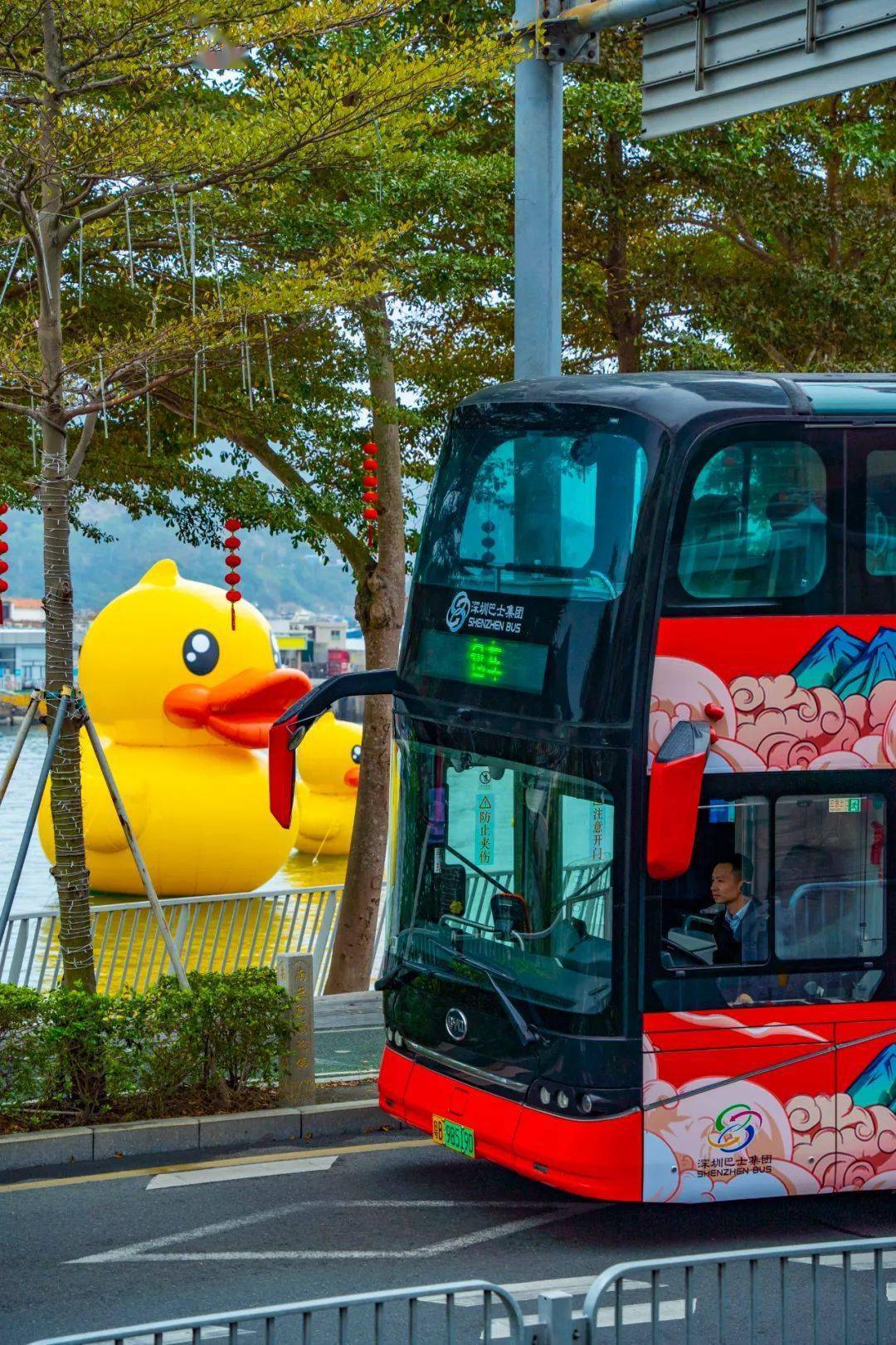 "红胖子"观光巴士带你春节游大鹏_活动_南澳_时间