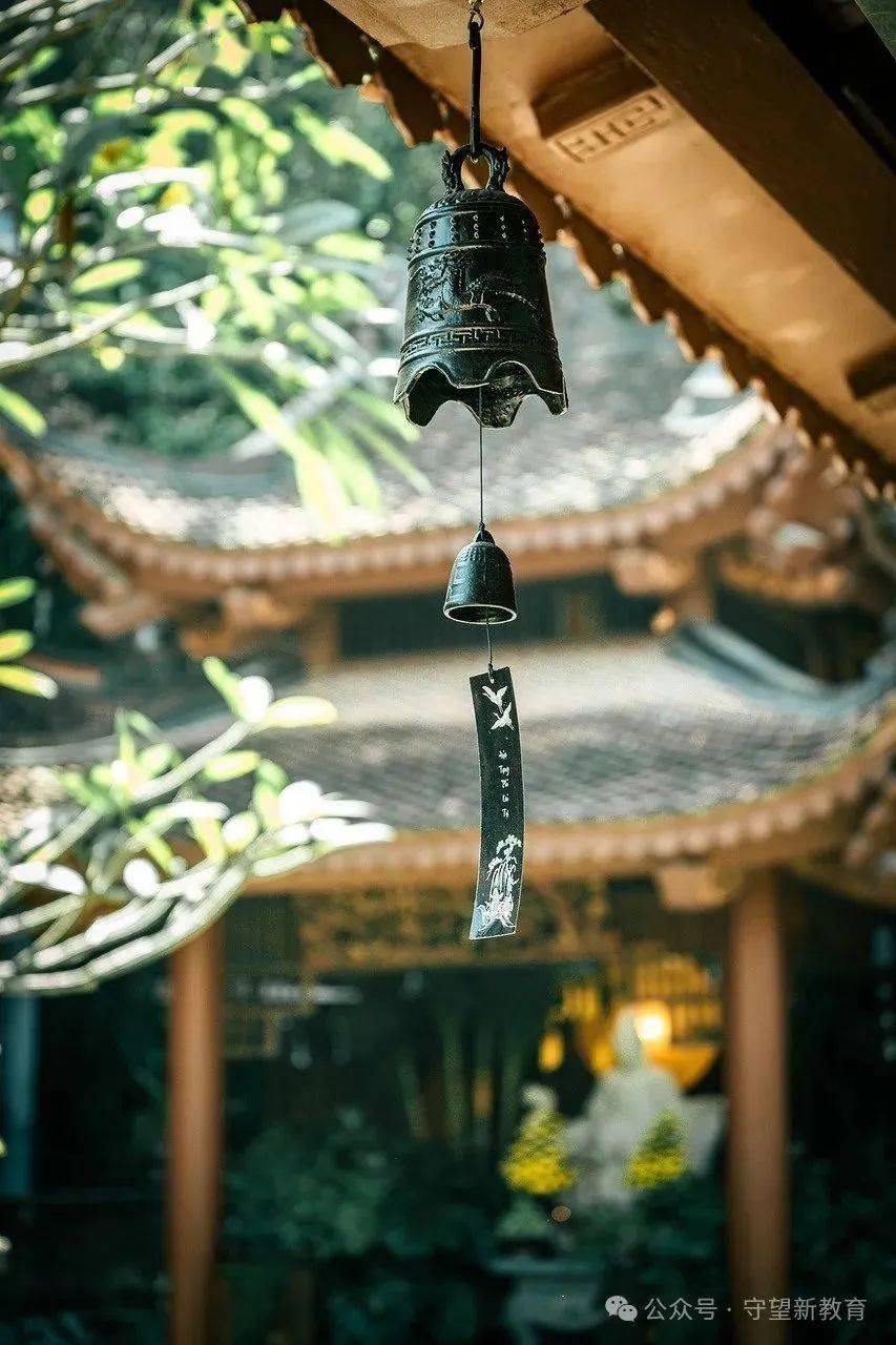 辛太学:生命既要向内探索,也要向外开展_教育_成长