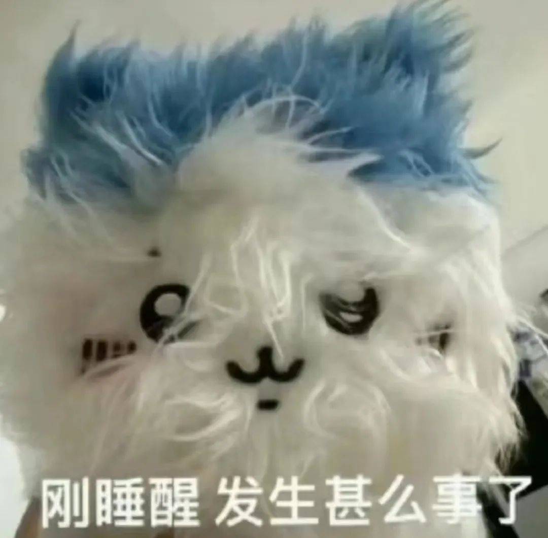 这些爆火的表情包,你今天用了吗?_图片_来源_小狗