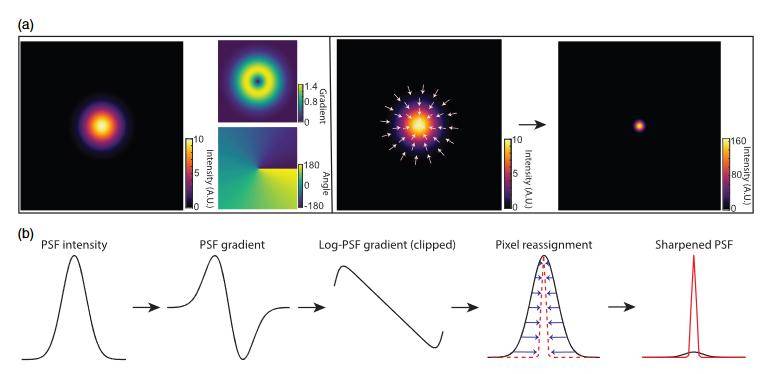诺奖| 手性 | srs | 硅基 | 超表面 | advanced photonics 2023年第6