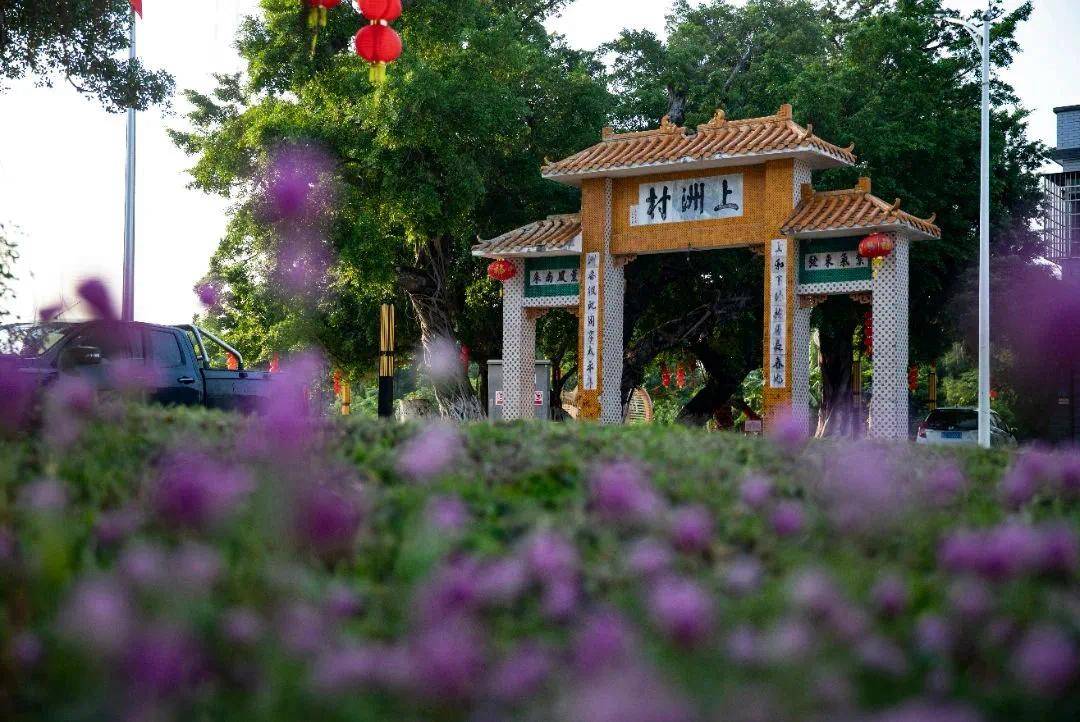 广东"百千万工程"典型村乡村