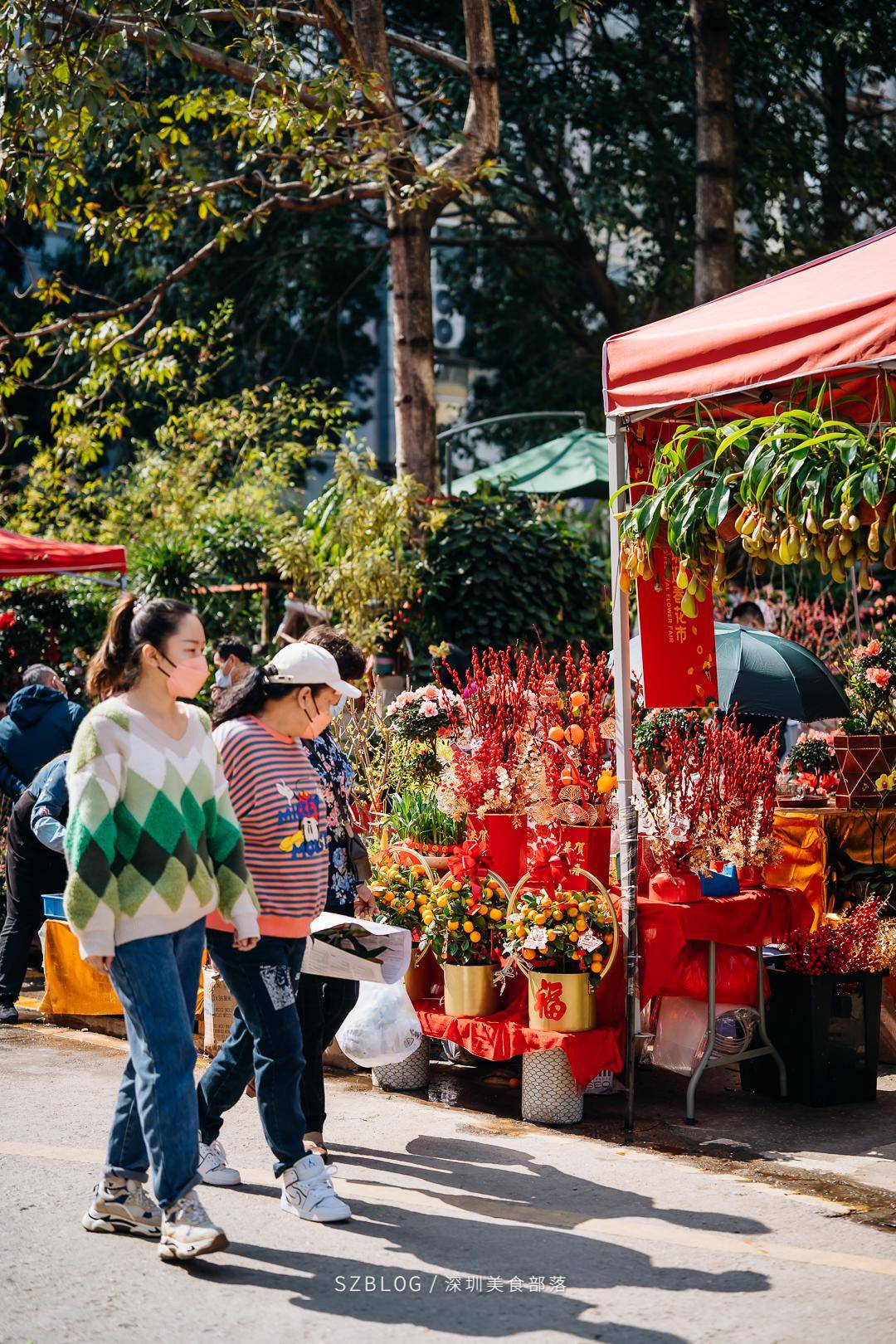 南山区花市图片